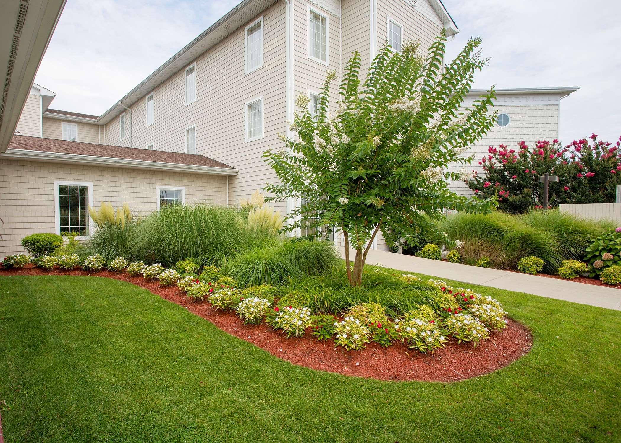 Hampton Inn & Suites Chincoteague-Waterfront, Va Esterno foto